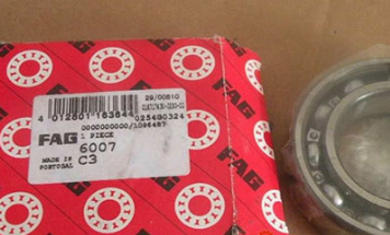 FAG 6007-C3 bearings